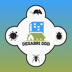 Desabri
