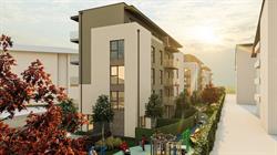 New City Apartments