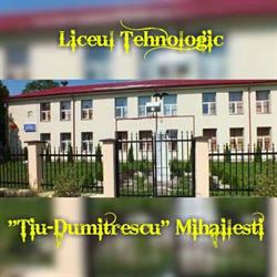 Liceul Tehnologic Tiu Dumitrescu