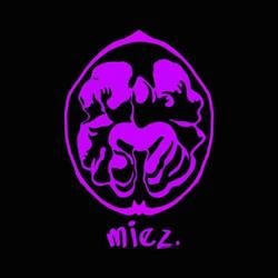 MIEZ - Spaţiu de impresie
