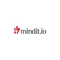 mindit.io