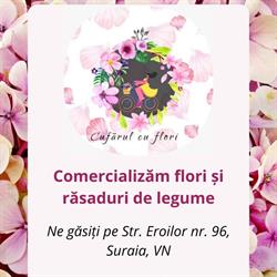 Cufărul cu flori