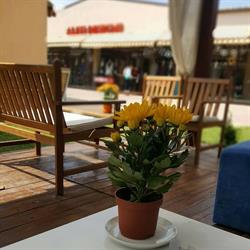 Cafe Veranda