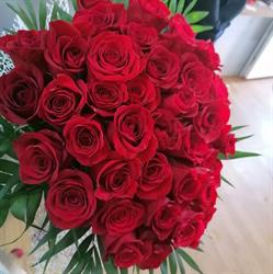 Floraria Lory