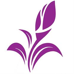 DeNovo Clinic