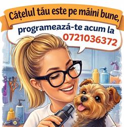 Little Puppy Style