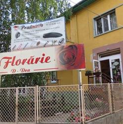 Florăria D-Dea