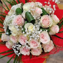 Floraria Bianca