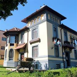 Casa Junilor