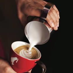 Café 31