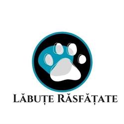 Labute Rasfatate