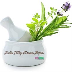 Vechea Farmacie (Rovine)