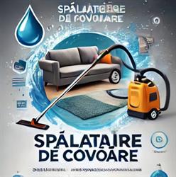 Spalatoria Profesionala De Covoare Carpet Pro Detailing