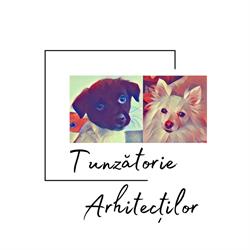 Tunzatorie Arhitectilor