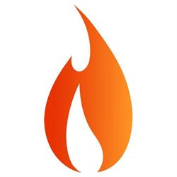 Şeminee şi Coşuri de fum - Fireprodukt