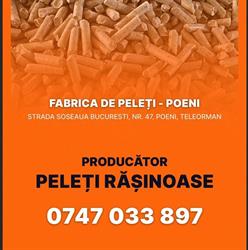 Fabrica de Peleţi - Poeni