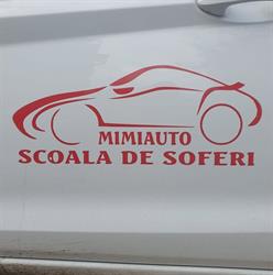 MIMI AUTO PRO