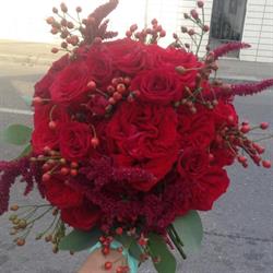 Andra Flowers - Florărie Buzău