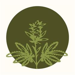 Top Health Cann