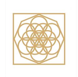 Life Concept Spa