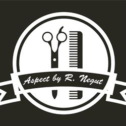 Aspect by R Neguţ