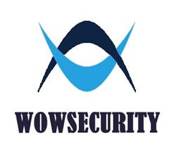 WOWSECURITY - Professional Security Services  (Montaj Sisteme de Securitate)