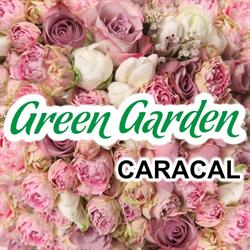 Floraria Green Garden (Caracal)