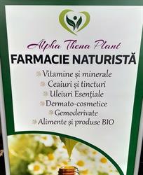 AlphaThena Plant