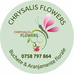 ChrysalisFlowers
