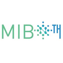 MIB TH S.r.l.