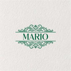 MARIO PIZZA