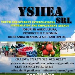 Ysiiea Ysiiea