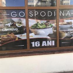 Gospodina