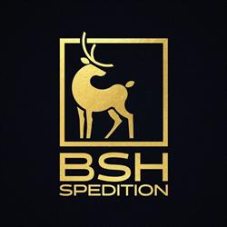 BSH Spedition SRL