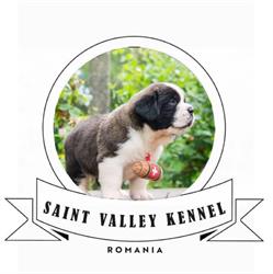 Saint Valley Kennel Romania