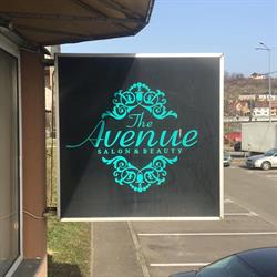 Salon Avenue Dragos Voda