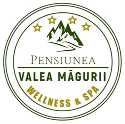 Pensiunea Valea Măgurii - cazare Transalpina