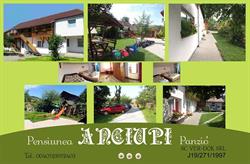 Casa de oaspeţi Anciup