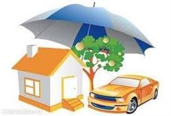 Forsafe Broker de Asigurare