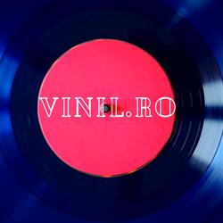 vinil