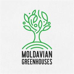 Moldavian Greenhouses