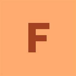 Fultech Camioane