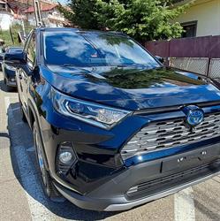 Piatra Ceramic Detailing