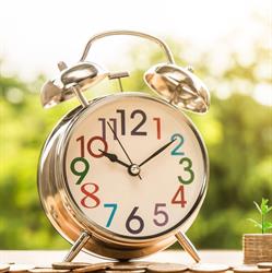 Moldar Expert Consulting
