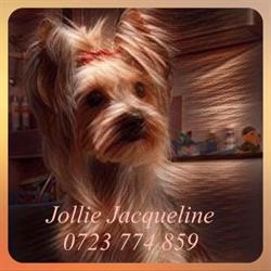 Jollie Jacqueline salon pentru animale de companie