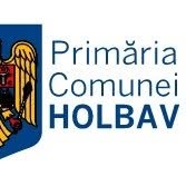 Primaria Holbav