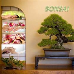 Salon Bonsai (Salon de înfrumuseţare)