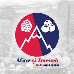 Afine si Zmeura din Muntii Fagaras