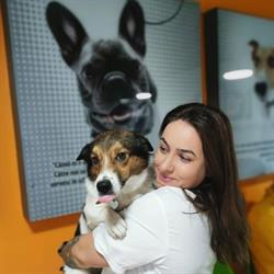 PAF VET - Pets Are Family - Cabinet Veterinar
