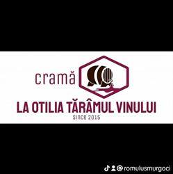 La Otilia, Otirom Rovinota